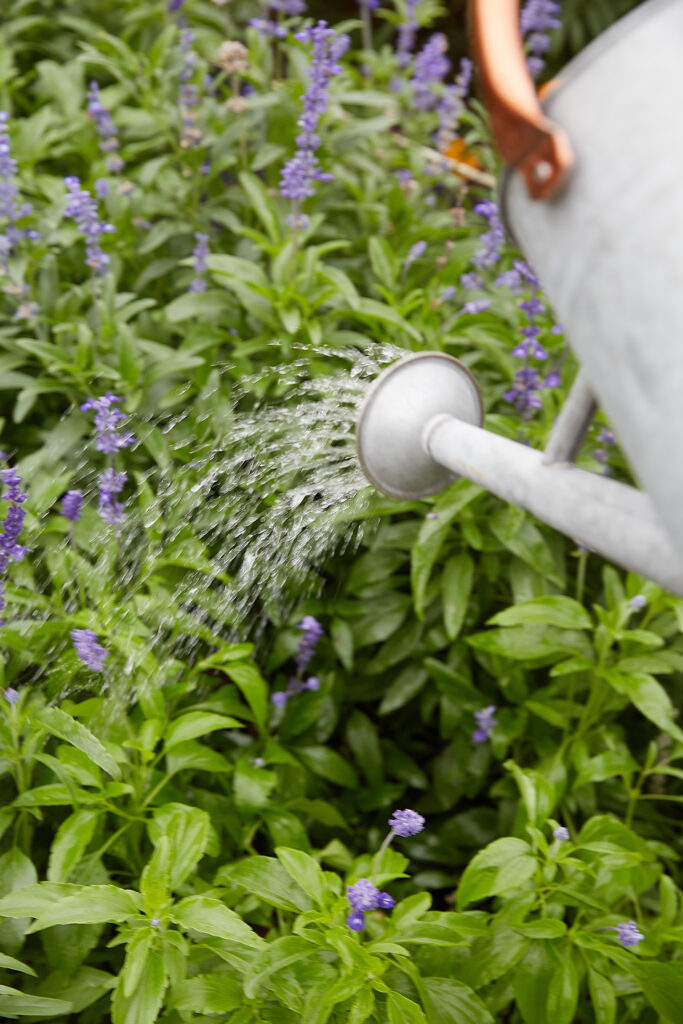 watering can